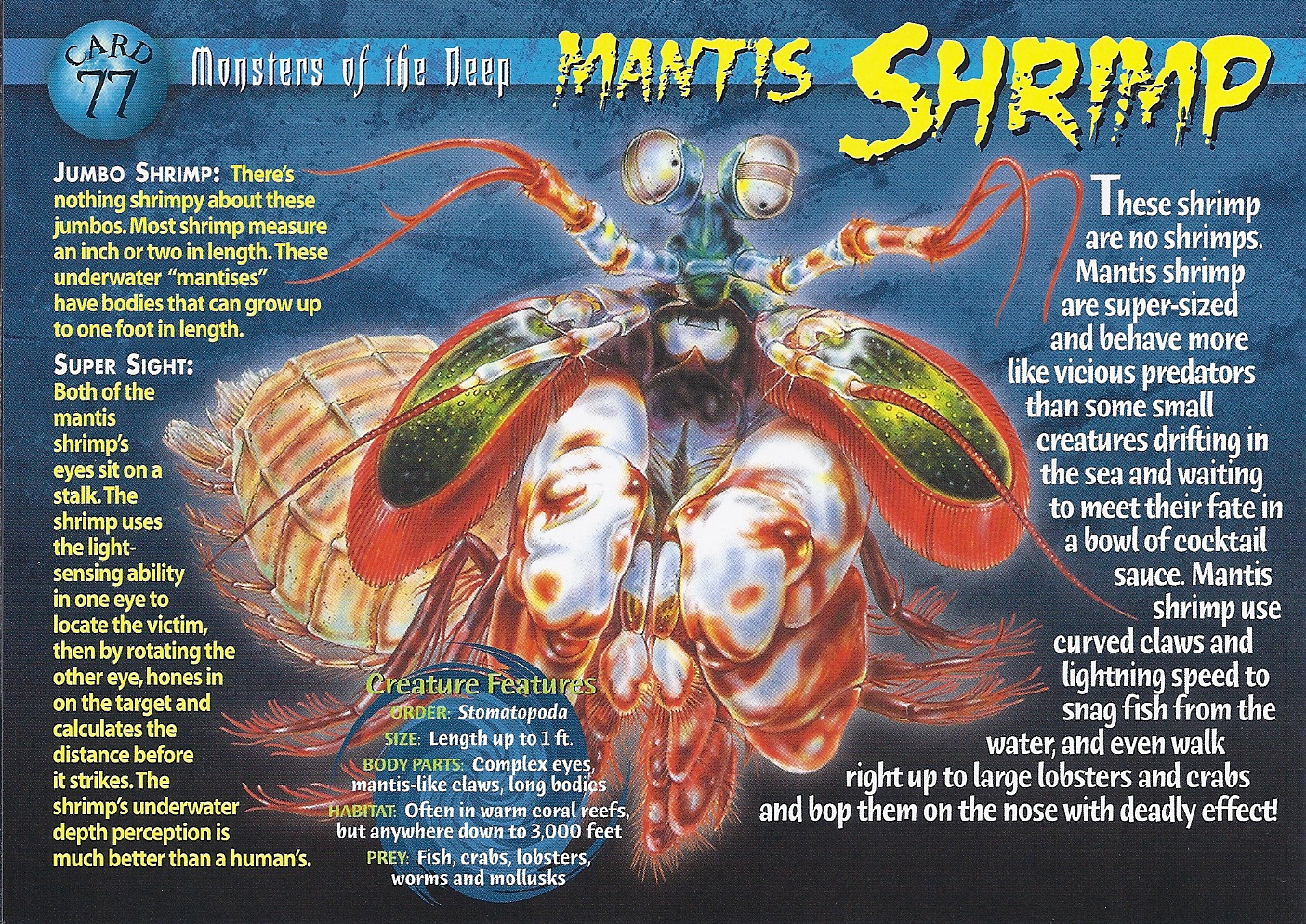 Mantis Shrimp | Wierd N'wild Creatures Wiki | FANDOM powered by Wikia