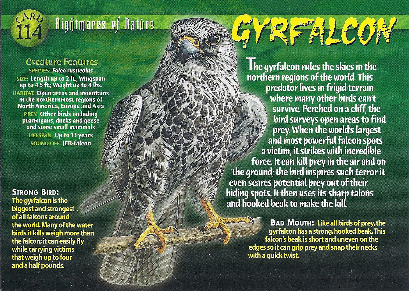 diablo 3 wiki gyrfalcon diablo 3 wiki gyrfalcon