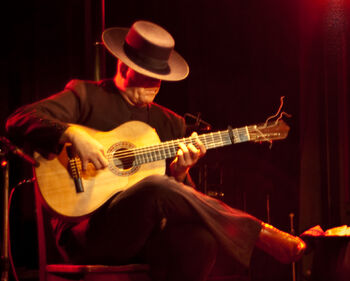 Flamenco guitar player