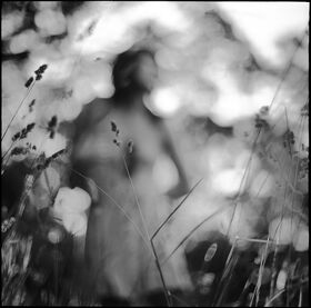 Spring Grass.jpg