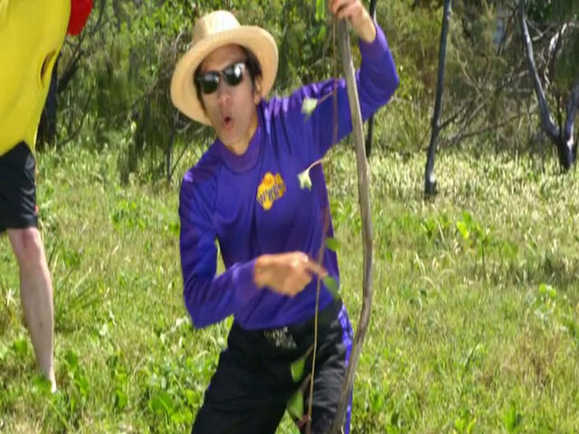 File:JeffPlayingVineBass.jpg
