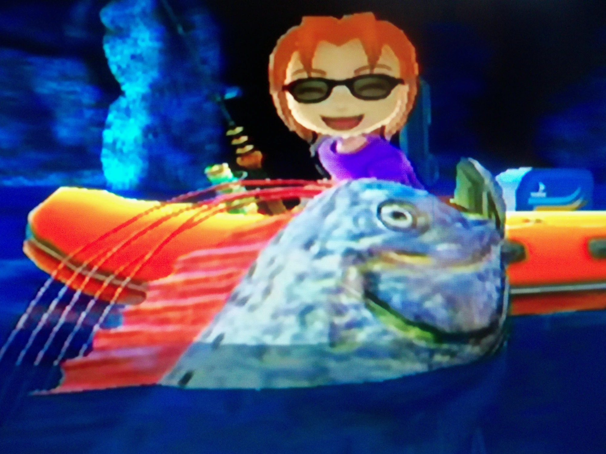 CategoryFish Wii Fishing Resort Wiki FANDOM powered by Wikia