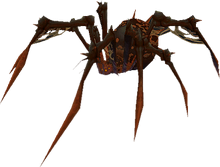 Taranthus