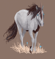 Caballo Zai