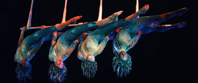 2013011763circo dentro