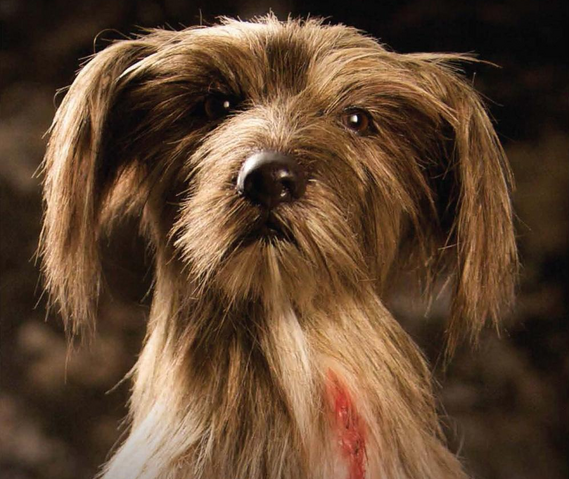 File:Pablo the dogUPDATED.png