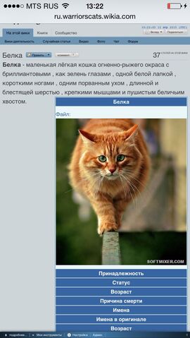 Файл:Косу.jpg