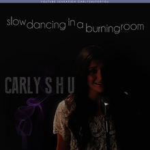 Slow Dancing In a Burning Room