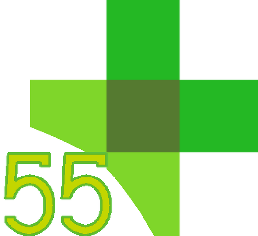 File:55 plus idea.png