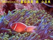Fish123.jpg