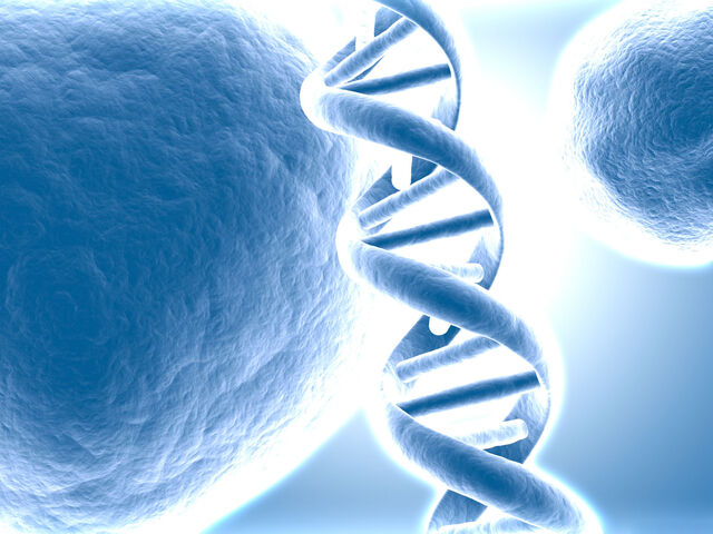 File:Dna.jpg