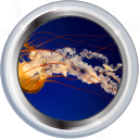 File:Badge-picture-4.png