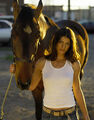 Thumbnail for version as of 16:49, December 13, 2011