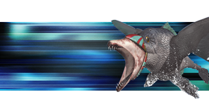 Ocean-flish.png