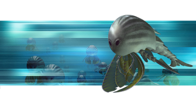Silverswimmer.png