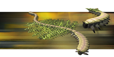 Gardenworm.png