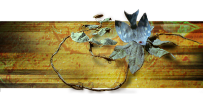 Deathbottle.png