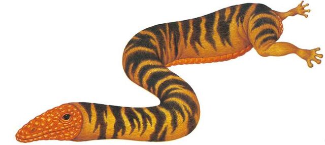 Archivo:Wyrm.jpg