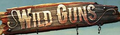 Thumbnail for version as of 02:21, November 20, 2009