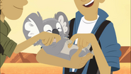 Koala Balloon | Wild Kratts Wiki | FANDOM powered by Wikia