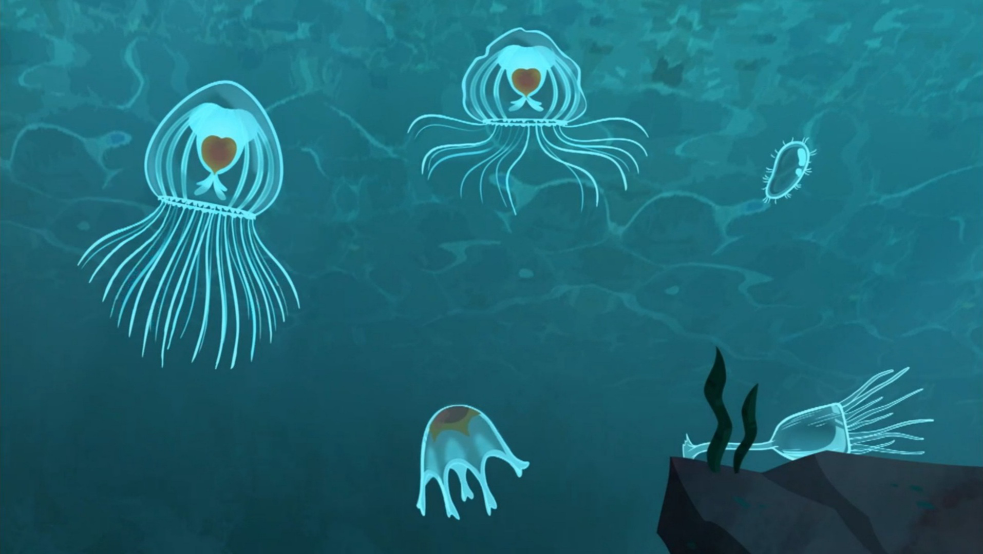 Image - Immortal Jellyfish.png | Wild Kratts Wiki | FANDOM powered by Wikia