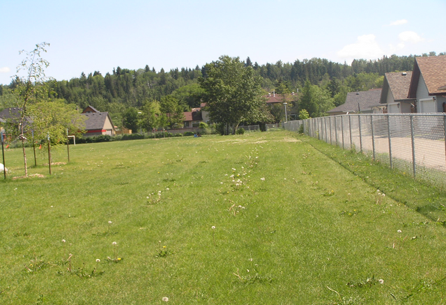File:Habitat, flatmeadow.png