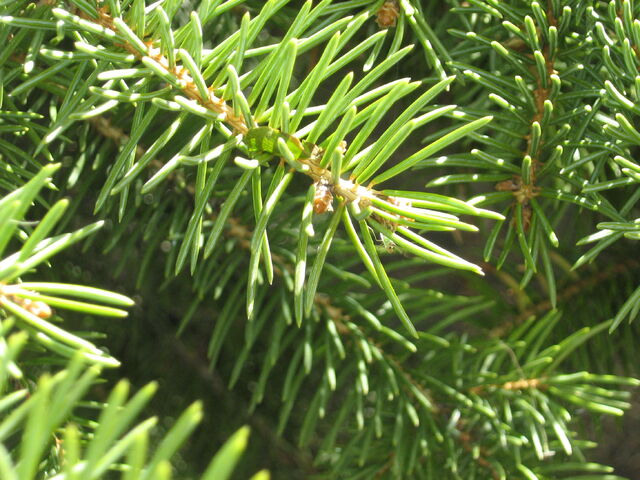 File:IMG 0459.jpg