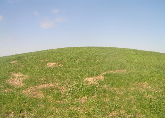 File:Habitat, hilltop.png