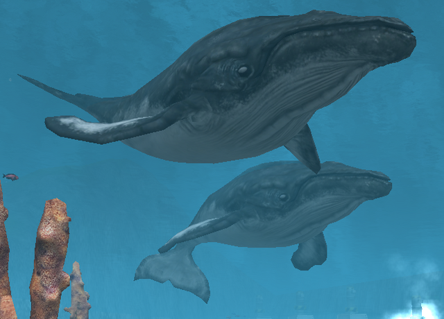 File:WLP2 140915 165107.png