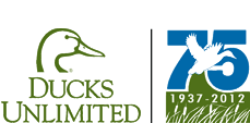 File:Ducks Unlimited.png