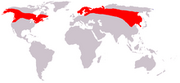 Moose Info