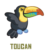 Toucan1