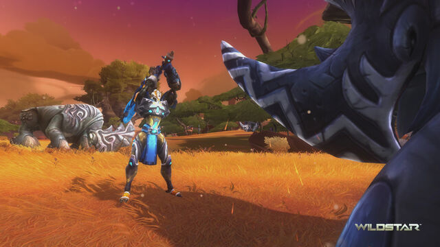 File:Warrior 01.jpg