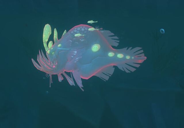 File:Ghostfin.jpg