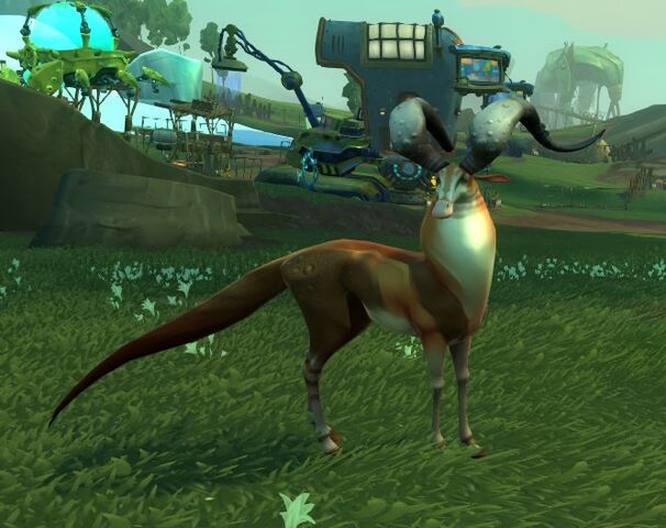 File:Roving dawngrazer.jpg