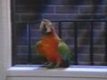 Thumbnail for version as of 18:06, February 25, 2011