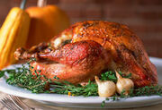 Turkey-dinner-photo-270-jsub-5201281