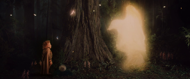 File:Fairy Forest.png