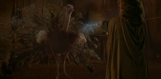 File:Peacock.png