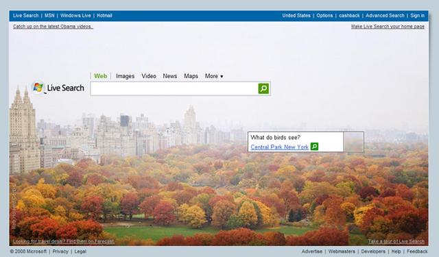 File:Live Search New.png