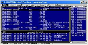 CodeView