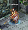 NPCs Holy Guard