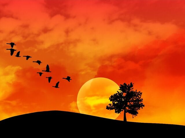 Archivo:Paisaje-atardecer-wallpaper-586134.jpeg