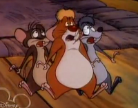 PackRats2