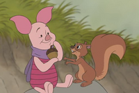 Squirrel