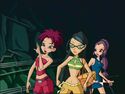 Winx41502348312-05-57