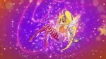 Stella 2D Sirenix