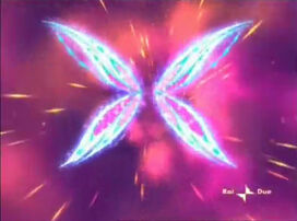 Wings 2.jpg