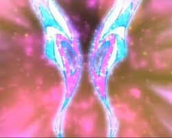 Speedix Wings.jpg