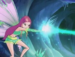 WinX-4x22-142.jpg